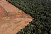 Amazonie brésilienne : chute spectaculaire des incendies en 2025