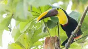 Animations à la Maison de la nature de Lattes du 21 au 26 juillet