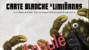 Annulation de la carte blanche des Limiñanas à Sète pour raisons de santé