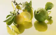 Apéritifs et cocktails : les agrumes réinventent l'apéro
