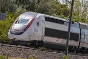 Après Neko, le chat Gina écrasé par un train : la SNCF interpellée