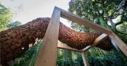 Art contemporain et nature fusionnent dans les Cévennes