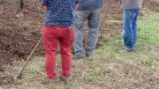 Atelier gratuit pour créer un verger multi-étagé à Montlaur