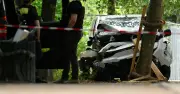 Attaque à la Pride de Berlin : un mort, un suspect recherché