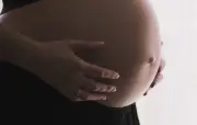 Attaque violente de chiens sur une femme enceinte de jumeaux