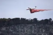 Au cœur du feu dans le Var : sécheresse, vent, chaleur, un cocktail explosif