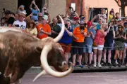 Au Texas, le rodéo reste l'attraction phare malgré la Coupe du monde