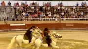 Aux Arènes du Cap d'Agde, traditions camarguaises et landaises réunies