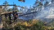 Aveyron : 19 pompiers en renfort dans l'Hérault pour un incendie de 900 hectares