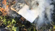 Bac 2026 : un lycéen incendie 600 m² de végétation en brûlant ses copies