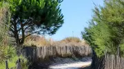 Balade écologique dans les dunes du Grand Travers à La Grande-Motte