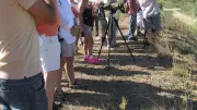 Balades gratuites avec un garde du littoral à Vendres-Plage