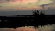 Balades nocturnes aux anciens salins de Frontignan