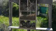 Balaruc-les-Bains installe abris pour insectes, papillons et chauves-souris