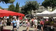 Balaruc-les-Bains : marché estival sous les pins, entre produits locaux et convivialité