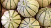 Banque Alimentaire du Gard : distribution gratuite de fruits et légumes ce jeudi