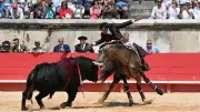 Beaucaire : corrida et novillada ce week-end avec Diego Ventura