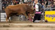 Beaucaire : spectacle de recortadores et forcados aux arènes Paul-Laurent