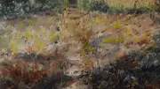 Bernard Goulabert expose René Char et Albert Camus à la Galerie de l’Arceau