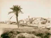 Bernard Moninot, Laurine Rousselet, Maram al-Masri : plein ciel