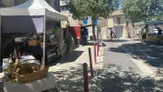 Blauzac : la municipalité dynamise son marché hebdomadaire