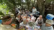 Bonsaï Club de Montpellier : repas de fin de saison et préparation de l'exposition nationale 2028