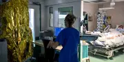 À Bordeaux, l'hôpital Pellegrin sous pression face aux vagues de chaleur