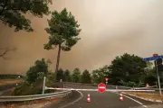 Bordeaux : protection des sites sensibles et préparation aux rumeurs