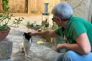 Brignoles : les Ch'amis cherchent des familles d'accueil pour chats