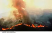 Brésil : incendies en Amazonie à leur plus bas niveau historique en 2025