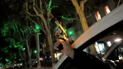 Campagne d'effarouchement réussie à Montpellier : les étourneaux quittent Antigone