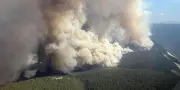 Canada : 3 millions d'hectares brûlés, saison des feux intense