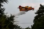 Canadair, Dash, A400M : quels avions pour lutter contre les feux de forêt ?