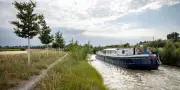 Canal du Midi : vingt ans de lutte contre le chancre coloré bouleversent les paysages