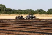 Canicule 2024 : 80% des récoltes perdues dans le Sud-Ouest