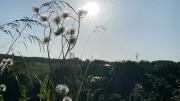 Canicule 2026 : le dôme de chaleur s'installe pour 7 à 10 jours