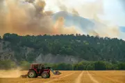 Canicule : 24 départements en rouge, plan Orsec déclenché ce week-end