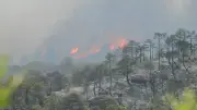 Canicule : 40°C attendus, 72 départements en orange, incendies ravagent le pays