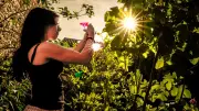Canicule dans le Gard : 41,9 °C à Villevieille, record au Mont-Aigoual