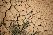 Canicule imminente : fortes chaleurs attendues en France dès lundi