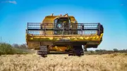Canicule : interdiction des travaux agricoles dans l'Hérault dès mercredi midi