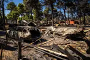 Canicule : le sud de la France en alerte orange, incendies ravageurs