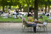 Canicule : le syndrome post-traumatique du « traumacule »
