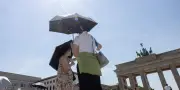 Canicule : les fortes chaleurs particulièrement meurtrières en Allemagne