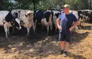 Canicule : l'éleveur breton face à des pertes de rendement catastrophiques