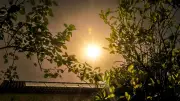Canicule à Montpellier : dispositifs étendus face à l'orange