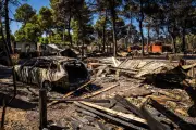 Canicule : surmortalité, incendies, GPA, l'actu du 3 juillet