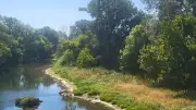 Canicule : truites fario et brochets menacés par le réchauffement de la Cèze