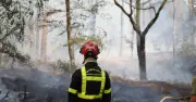 Canicules et incendies : l'écologie sacrifiée dans la campagne présidentielle 2027 ?