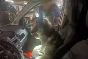 Cannes : un husky sauvé par la police municipale, le propriétaire sanctionné